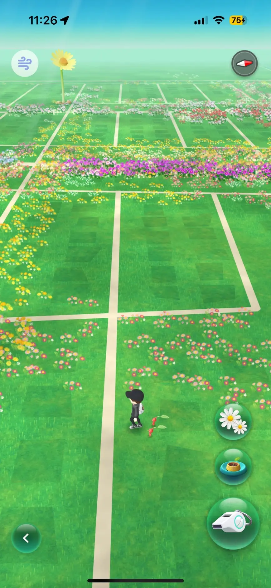 効率よく本数を増やす花植えの歩き方についての説明用画像