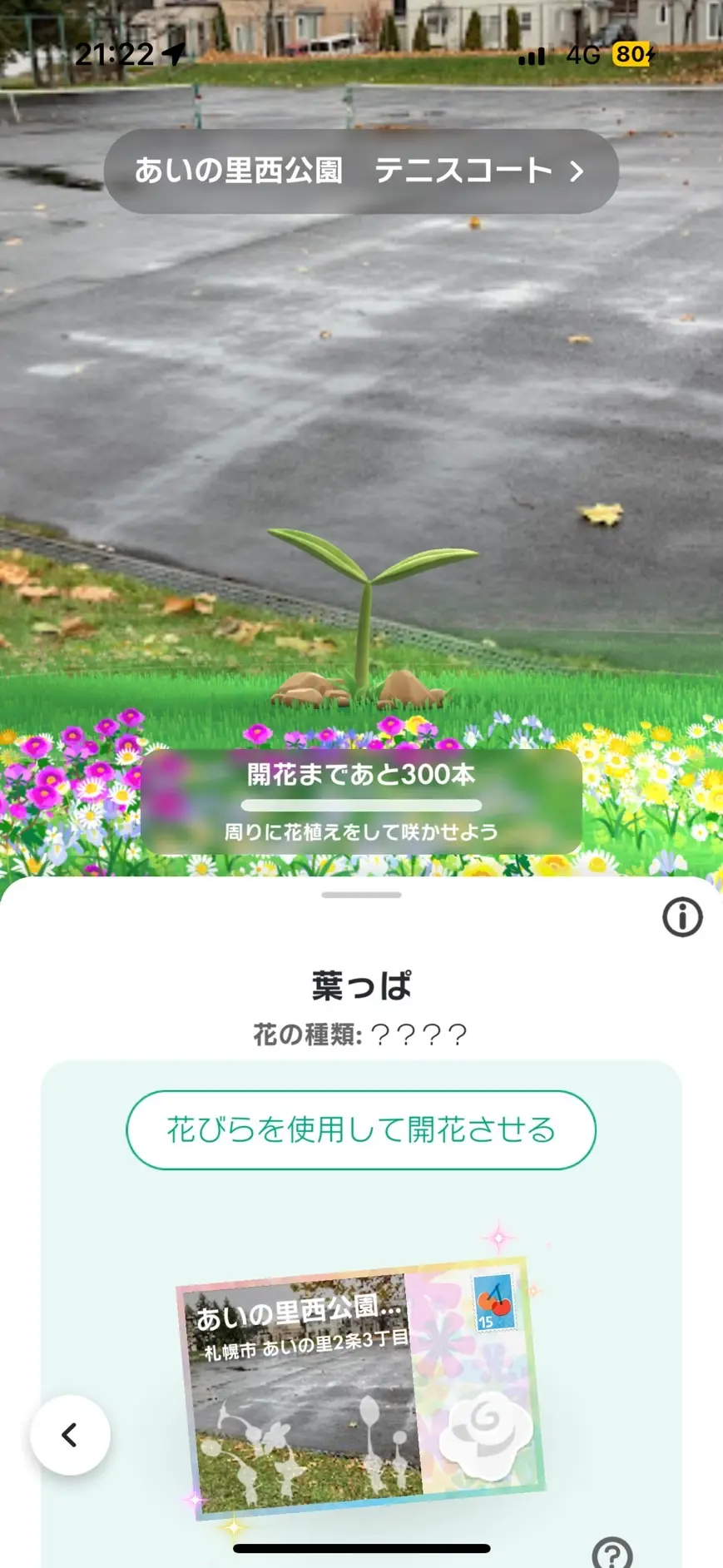効率よくビッグフラワーを咲かせる時間帯・場所の選び方についての説明用画像