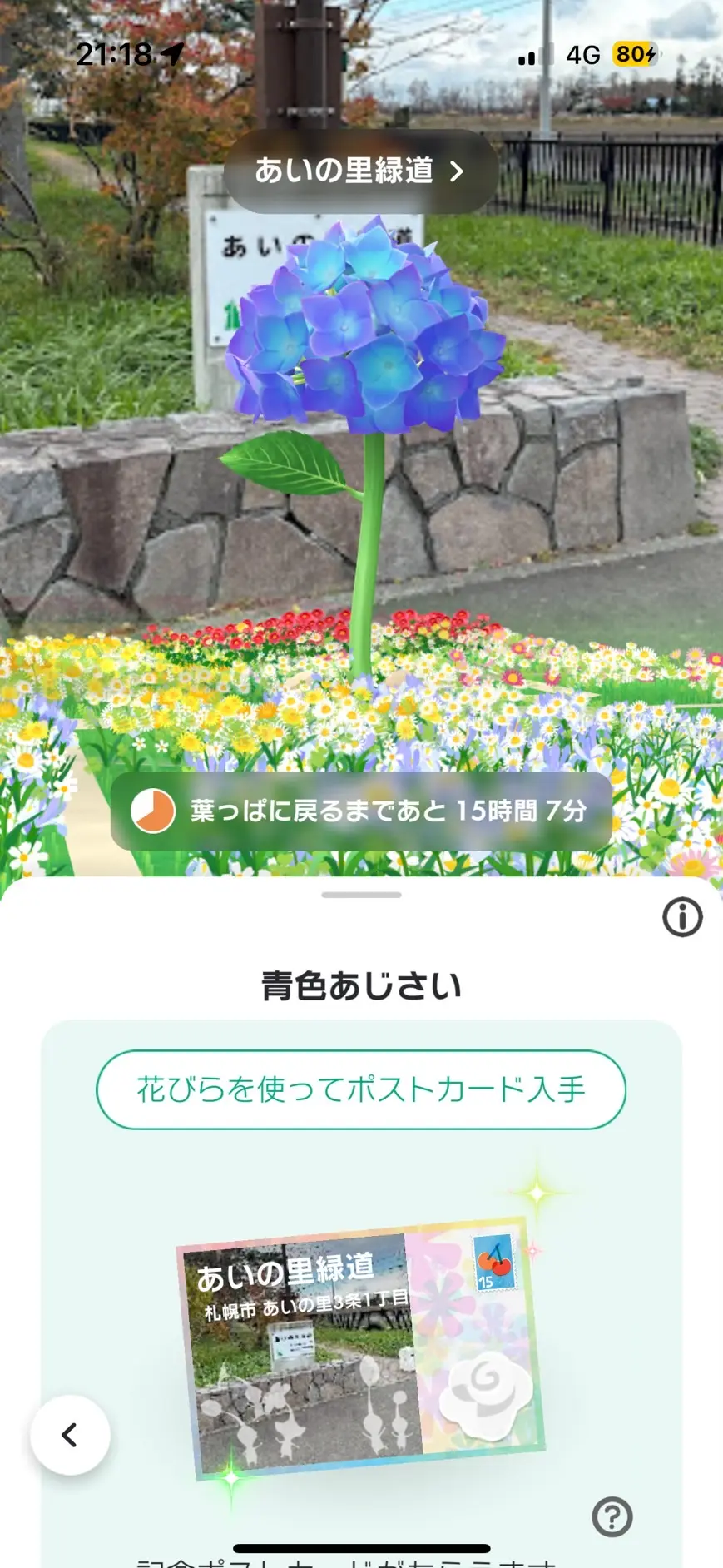 ビッグフラワーが咲く！についての説明用画像